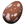 Baryonyx Egg
