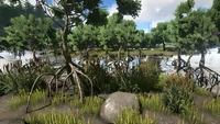 Biome Swamp