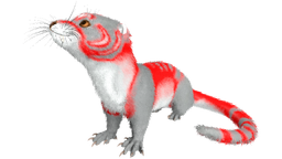 X-Otter PaintRegion5.png