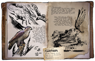Avian Ark: Tales from a Wild Bird Hospital: Chubb, Kit