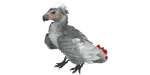 Argentavis PaintRegion2.jpg