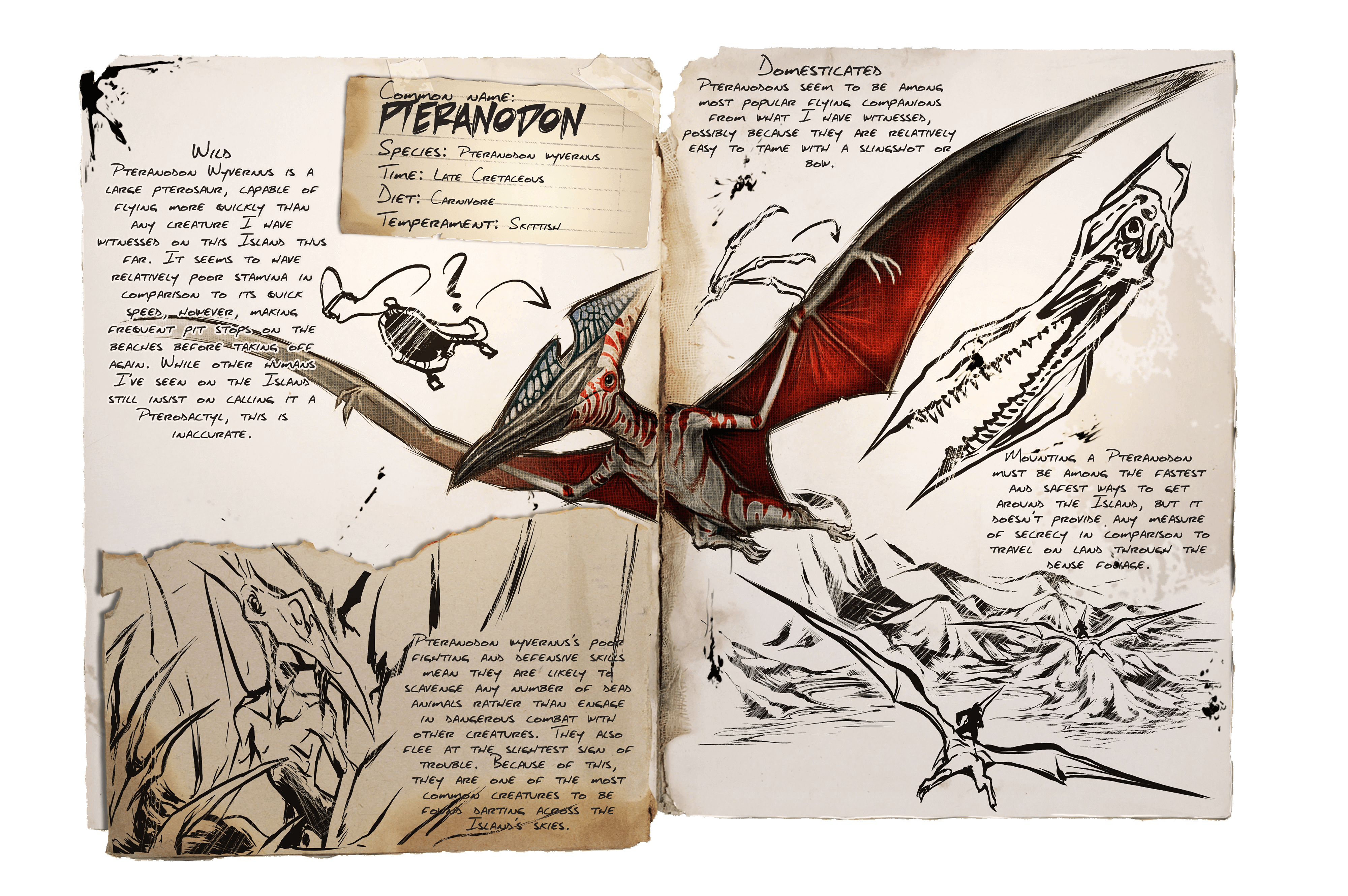 Pteranodon Official Ark Survival Evolved Wiki