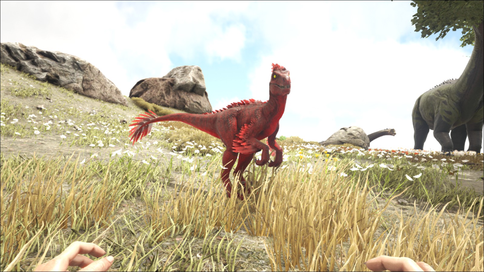 Alpha Raptor Official ARK Survival Evolved Wiki