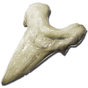 Megalodon Tooth - Official ARK: Survival Evolved Wiki