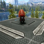 ゲーム内の外観