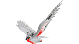 Snow Owl PaintRegion4.png