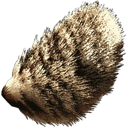 バニーテールスキン 公式ark Survival Evolvedウィキ