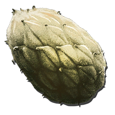 Plant Species Z Seed (Aberration).png