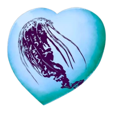 Chibi-Cnidaria