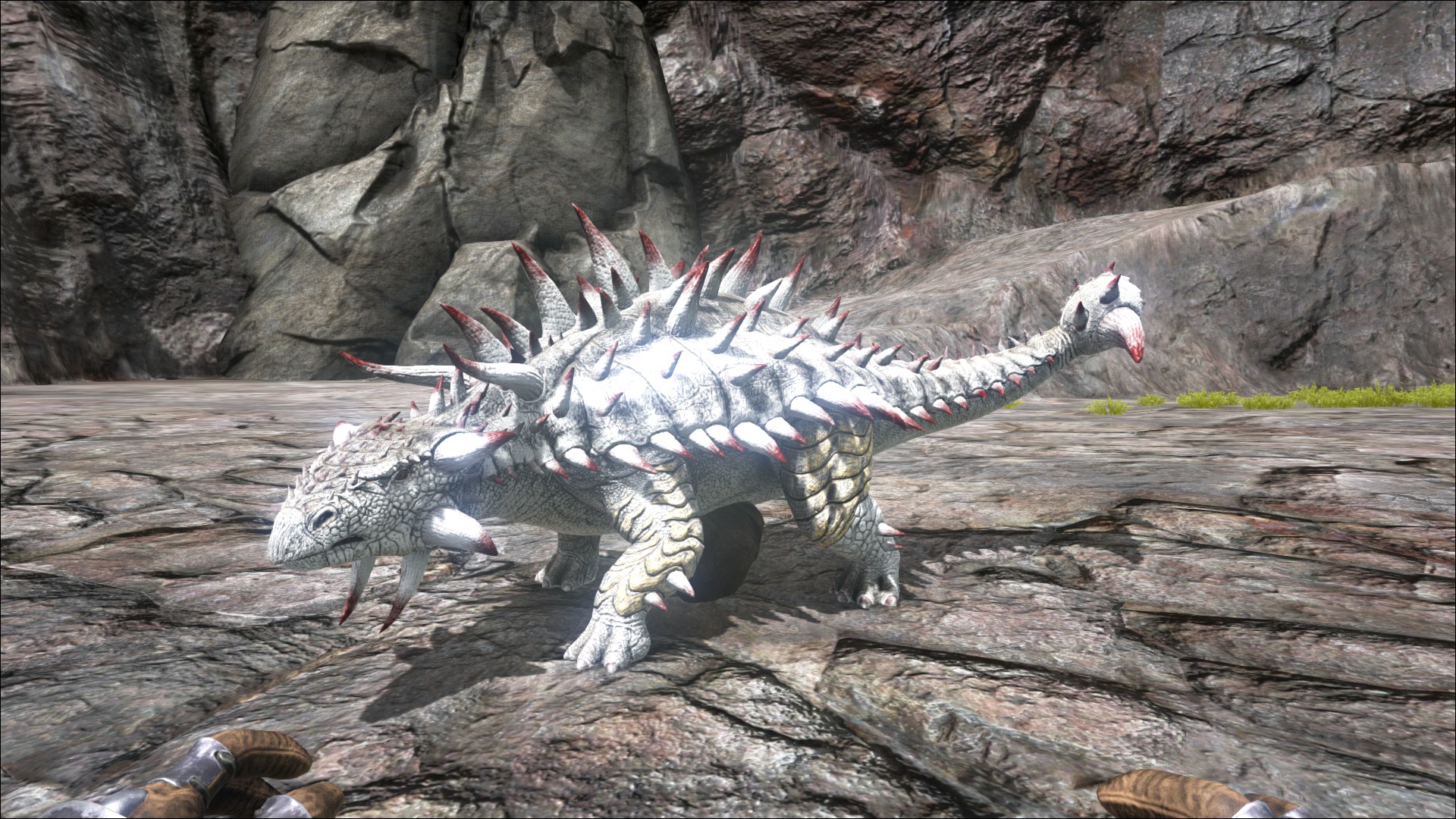 アンキロサウルス 公式ark Survival Evolvedウィキ