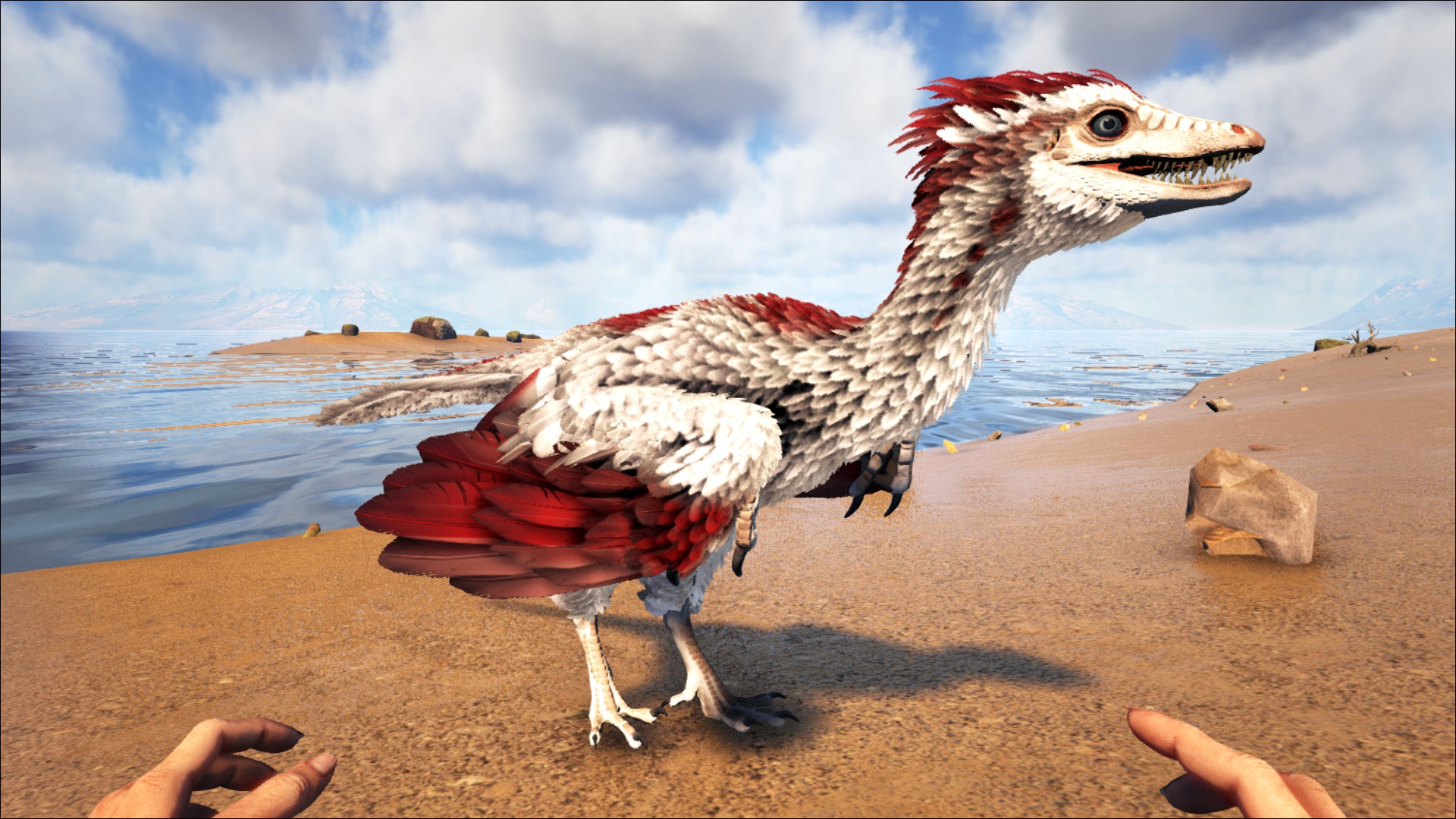 Archaeopteryx ARK Survival Evolved Wiki