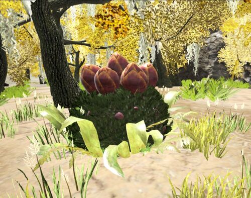 プラントxの種 公式ark Survival Evolvedウィキ
