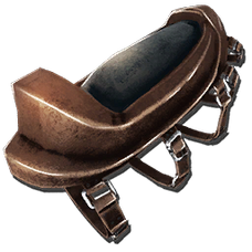 Pulmonoscorpius Saddle.png