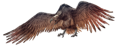 Render Argentavis.png