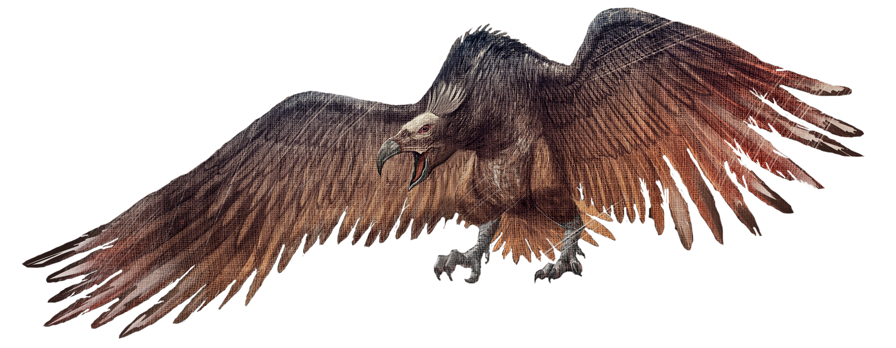 Fichier:Render Argentavis.png - Wiki Officiel de ARK: Survival Evolved.