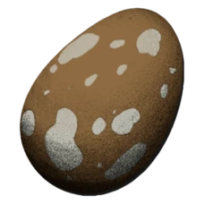 Compy Egg