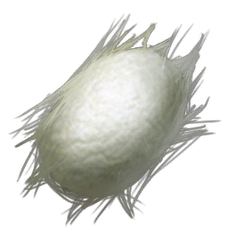 Silk (Scorched Earth).png