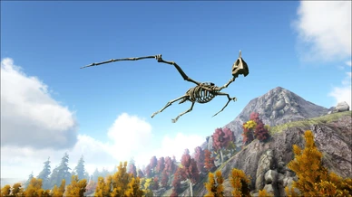 Skeletal Quetzal Image