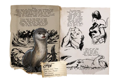 Dossier Otter