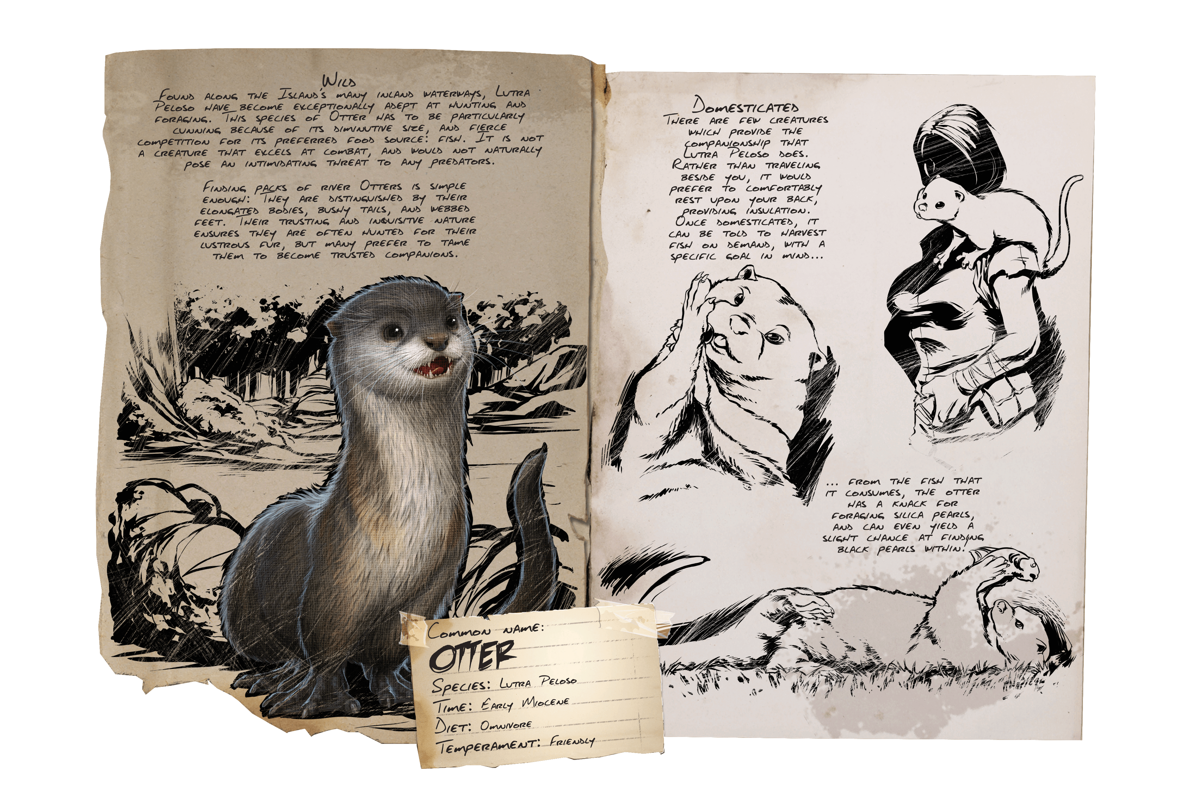 Otter Official Ark Survival Evolved Wiki