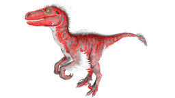 Raptor PaintRegion0.jpg