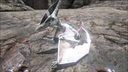 Ptera PaintRegion1.jpg