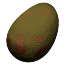 Ankylo Egg