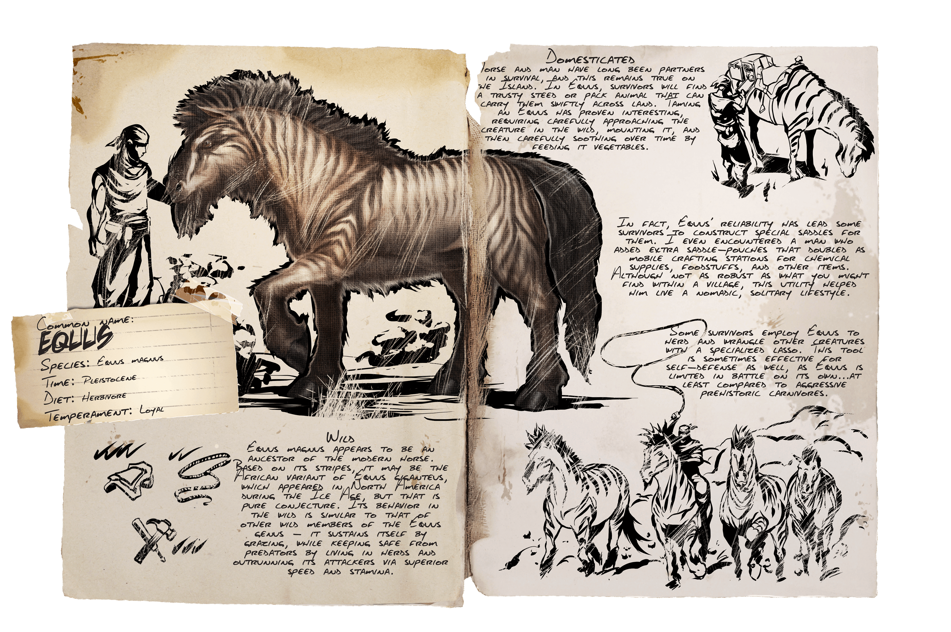 Equus Official Ark Survival Evolved Wiki