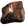 Shell Fragment (Genesis Part 1).png