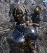 As seen riding on a shoulder