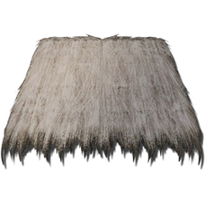 Thatch Roof