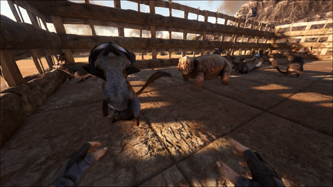 Jerboa Official Ark Survival Evolved Wiki