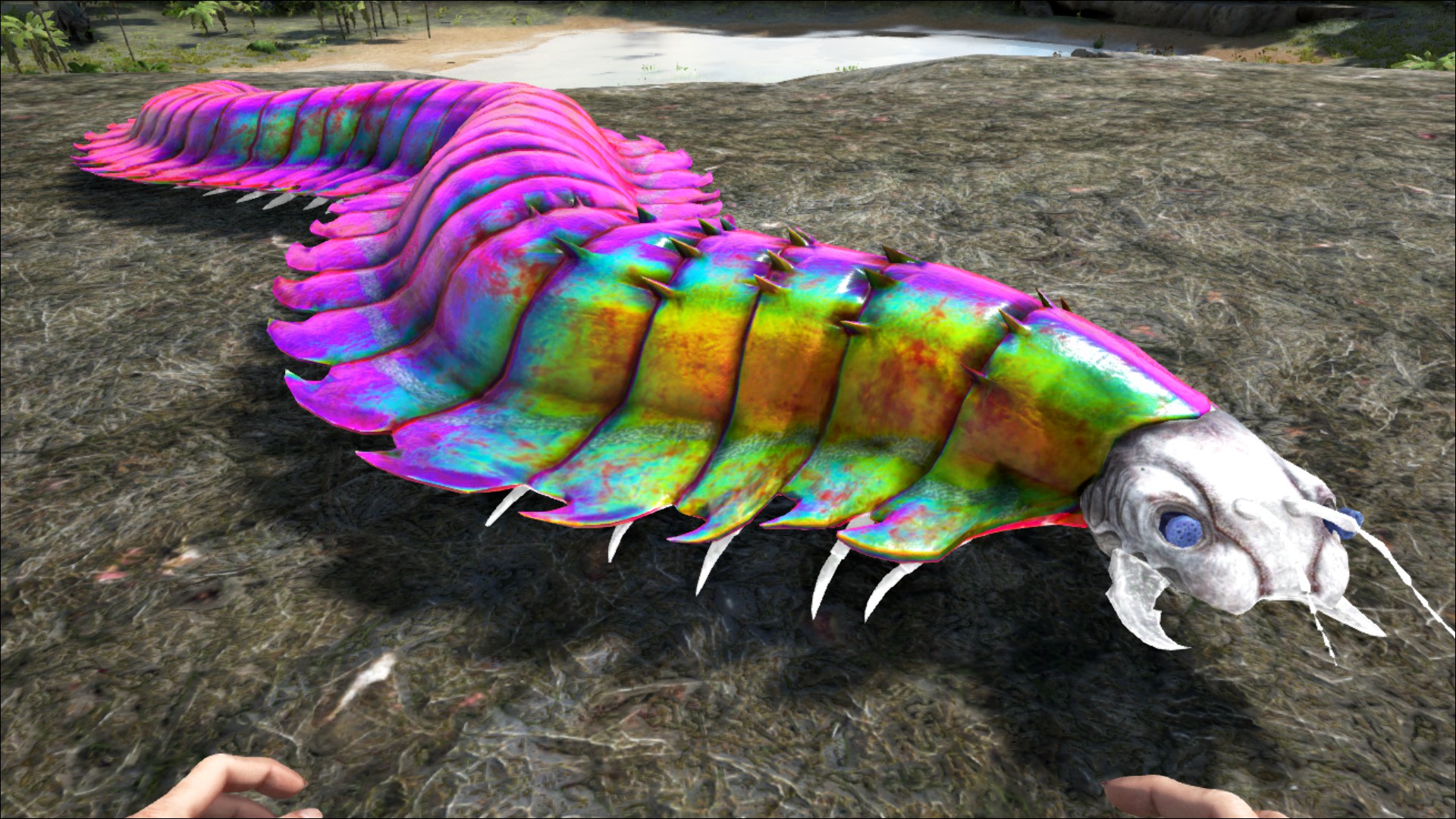 Arthropluera – ARK: Survival Evolved Wiki