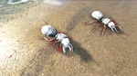Titanomyrma PaintRegion3