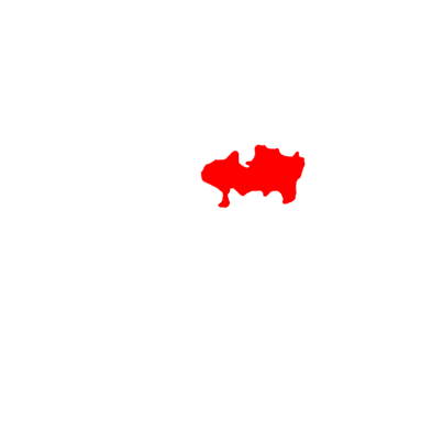 Region Jungles Mid (The Center)