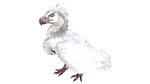 X-Argentavis PaintRegion3.jpg