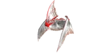 Tapejara PaintRegion4