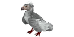 Argentavis PaintRegion3.jpg