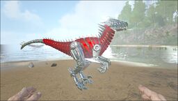 Tek Raptor PaintRegion2.jpg