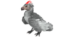 Argentavis PaintRegion4.jpg