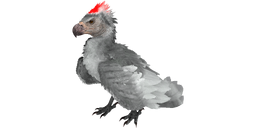 Argentavis PaintRegion4.png