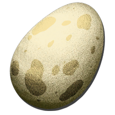 Dino Egg