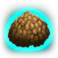 キブル 特級 公式ark Survival Evolvedウィキ