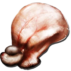 Gasbags bladder (Extinction)