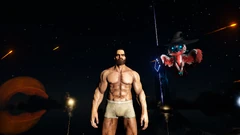 ゲーム内での姿