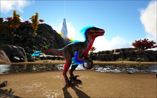 Evo Raptor Official Ark Survival Evolved Wiki