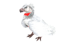 X-Argentavis PaintRegion4.jpg