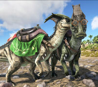 Parasaurs with the  Parasaur Stylish Saddle Skin (left) and Dino Glasses (right)