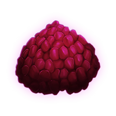Primal kibble top