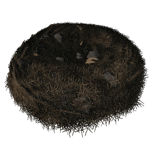 ワイバーンの巣 Scorched Earth 公式ark Survival Evolvedウィキ ワイバーンの巣 Scorched Earth 公式ark Survival Evolvedウィキ